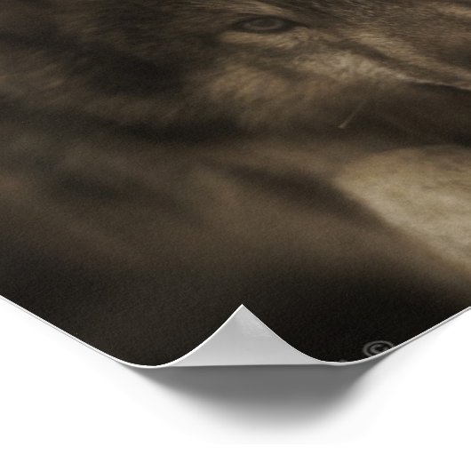 TheWolfGirlFriend Poster (Hoek)