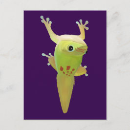 They call me sticky toes! DAY GECKO Briefkaart