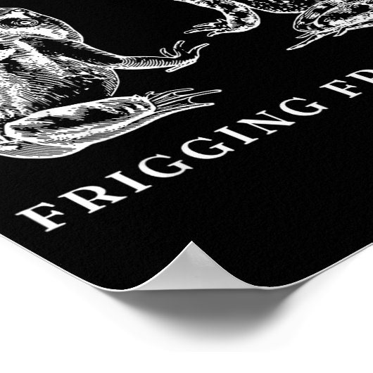 They Turned The Friggin' Frogs Gay Funny Frog Lgbt Poster (Hoek)