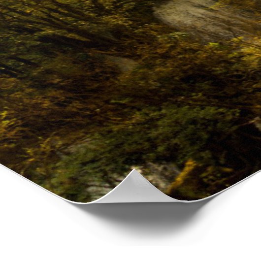 Thi Lor Su Waterfall | Thailand Poster (Hoek)