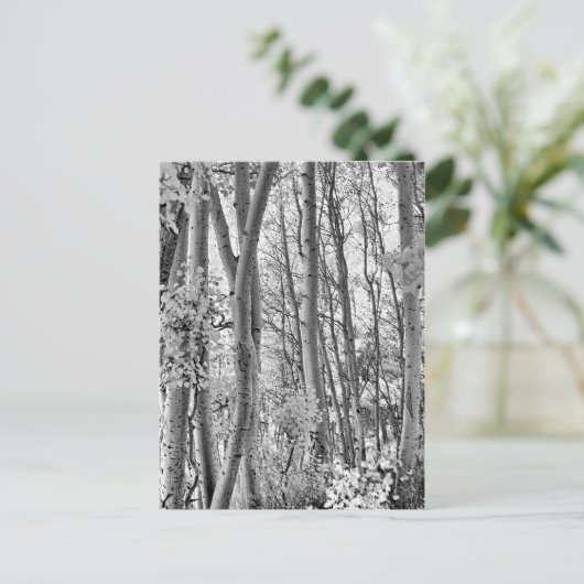 Thicket Briefkaart (Staand voorkant)