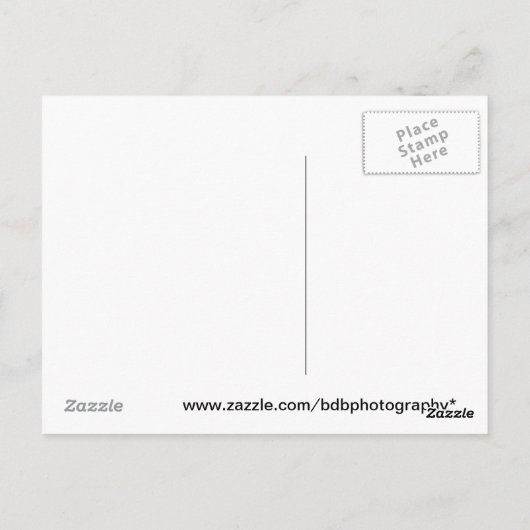 Thicket Briefkaart (Achterkant)