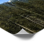 Thielsen, Oregon Poster (Hoek)