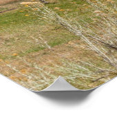 Thimble Rock in Unaweep Canyon Poster (Hoek)