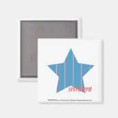 Thin Stripes Aqua 2 Magneet (Voorkant / Achterkant)