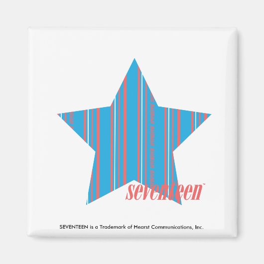 Thin Stripes Aqua 2 Magneet (Voorkant)