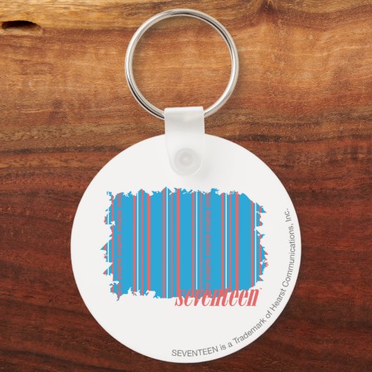 Thin Stripes Aqua 4 Sleutelhanger (Voorkant)