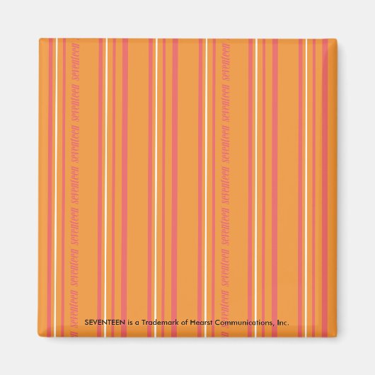 Thin Stripes Oranje Magneet (Voorkant)