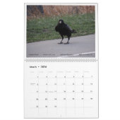 Things with Wings: A Wildlife Photography Calendar Kalender (Mar 2026)