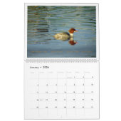 Things with Wings: A Wildlife Photography Calendar Kalender (Jan 2026)