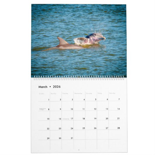 Things You See On Hilton Head Island Kalender (Mar 2026)