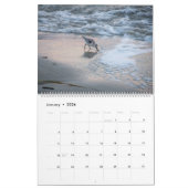 Things You See On Hilton Head Island Kalender (Jan 2026)