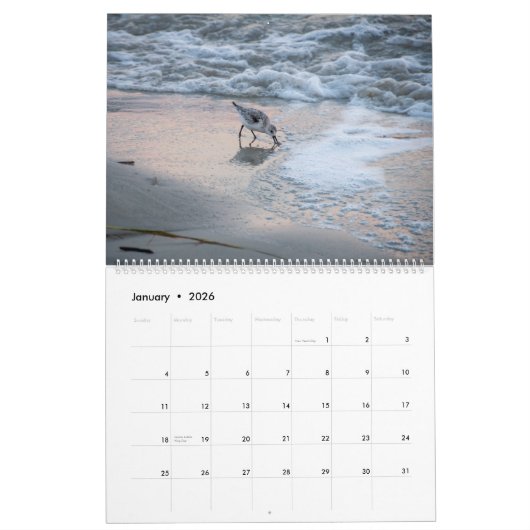 Things You See On Hilton Head Island Kalender (Jan 2026)