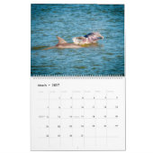 Things You See On Hilton Head Island Kalender (Mar 2027)