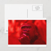 Thinking Gorilla Briefkaart (Voorkant / Achterkant)
