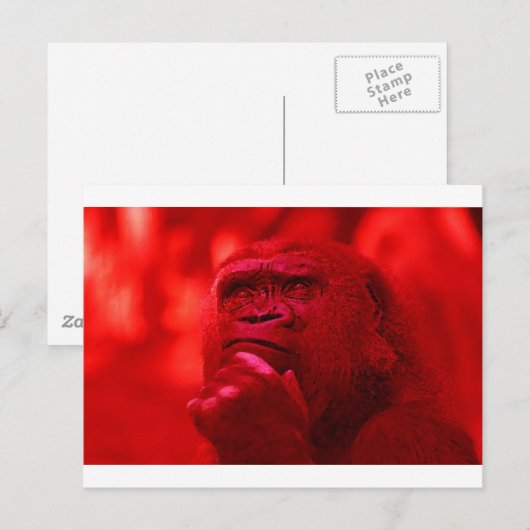Thinking Gorilla Briefkaart (Voorkant / Achterkant)