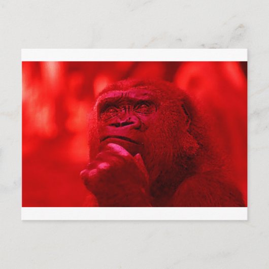 Thinking Gorilla Briefkaart (Voorkant)