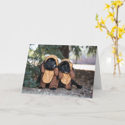 Thinking of you bears kaart (Gele Bloem)