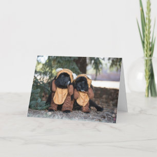 Thinking of you bears kaart