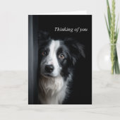 Thinking of You Border Collie Kaart (Voorkant)