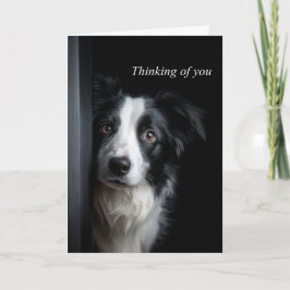 Thinking of You Border Collie Kaart