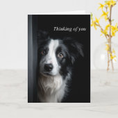 Thinking of You Border Collie Kaart (Gele Bloem)