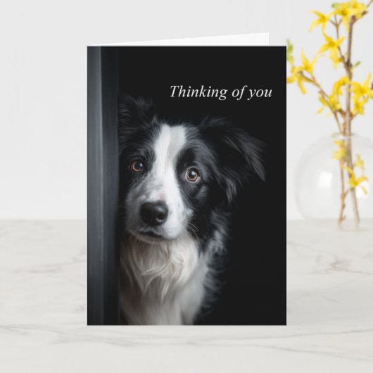 Thinking of You Border Collie Kaart (Gele Bloem)