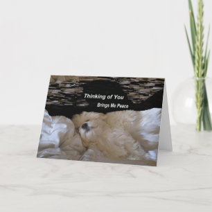 Thinking Of You Brings Me Peace Greeting Card Kaart