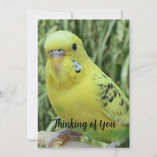 Thinking of You card Kaart (Voorkant)