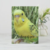 Thinking of You card Kaart (Staand voorkant)
