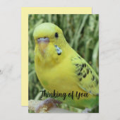 Thinking of You card Kaart (Voorkant / Achterkant)