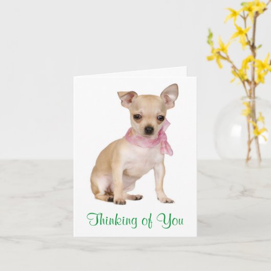 Thinking of You Chihuahua Puppy Dog Greeting Card Kaart (Gele Bloem)