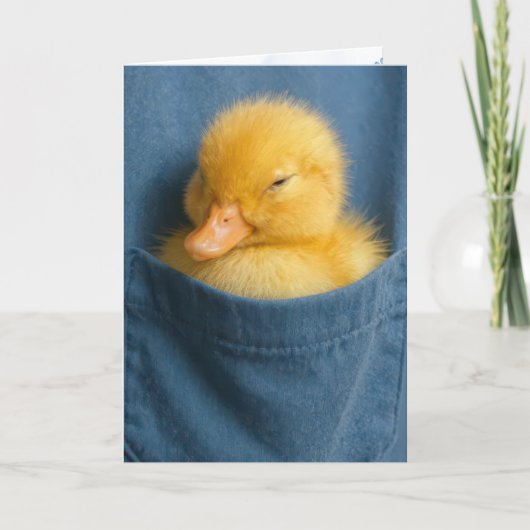 Thinking of You Duckling In a Blue T-shirt Pocket Kaart (Voorkant)