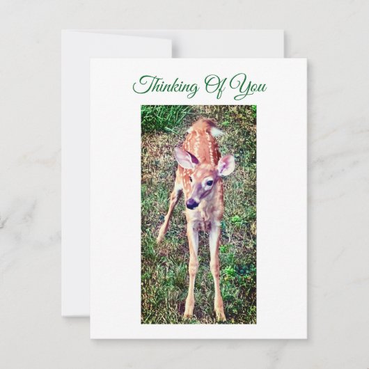 Thinking Of You Flat Note Card With Fawn Notitiekaartje (Voorkant)