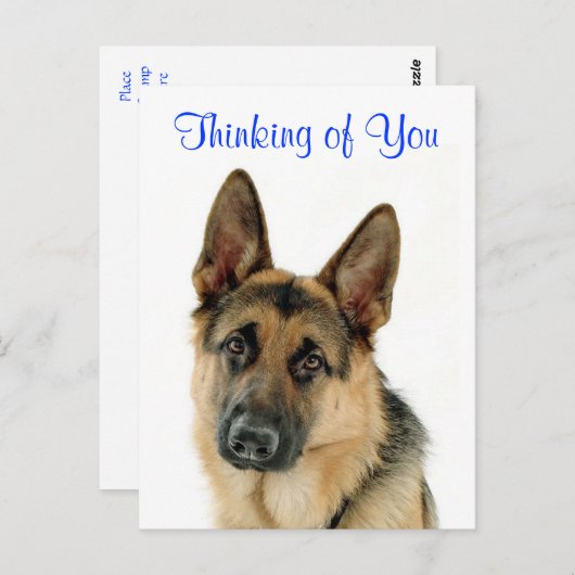 Thinking Of You German Shepherd Doggy Postcard Briefkaart (Voorkant / Achterkant)