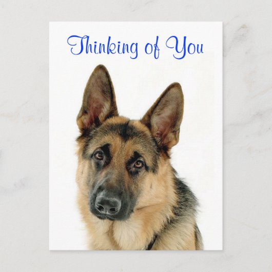 Thinking Of  You German Shepherd  Doggy  Postcard Briefkaart (Voorkant)