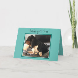 "Thinking of You" Kaart W/Schattige Basset Hound