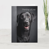 Thinking of You Labrador Retriever Kaart (Voorkant)