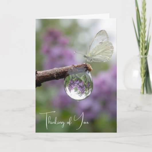 Thinking of You Lilacs Reflecting in a Raindrop Kaart (Voorkant)