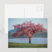 thinking of you nature  briefkaart (Voorkant / Achterkant)