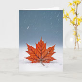 Thinking of You Orange Maple Leaf On Snow  Kaart (Gele Bloem)
