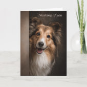 Thinking of You Shetland Sheepdog Kaart (Voorkant)