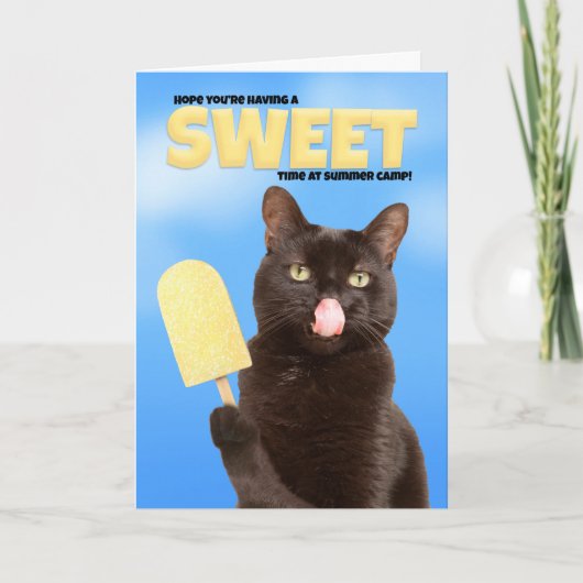Thinking of You Summer Camp Wishes Funny Cat Feestdagen Kaart (Voorkant)
