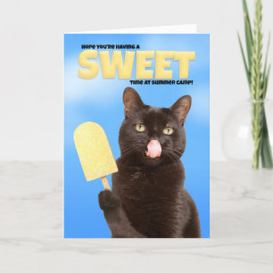 Thinking of You Summer Camp Wishes Funny Cat Feestdagen Kaart