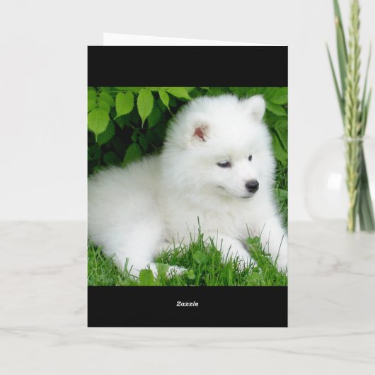 Thinking of You White Samoyed Puppy Dog Card Kaart (Achterkant)