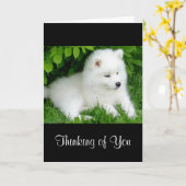 Thinking of You White Samoyed Puppy Dog Card Kaart (Gele Bloem)