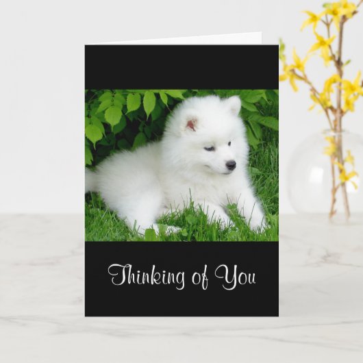 Thinking of You White Samoyed Puppy Dog Card Kaart (Gele Bloem)