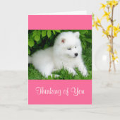 Thinking of You White Samoyed Puppy Dog Pink Card Kaart (Gele Bloem)