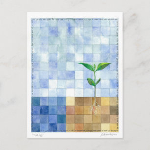 Third Day (7 days of creation) Postcard Briefkaart