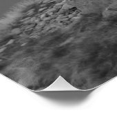 Thirlmere-Poster Perfect Poster (Hoek)